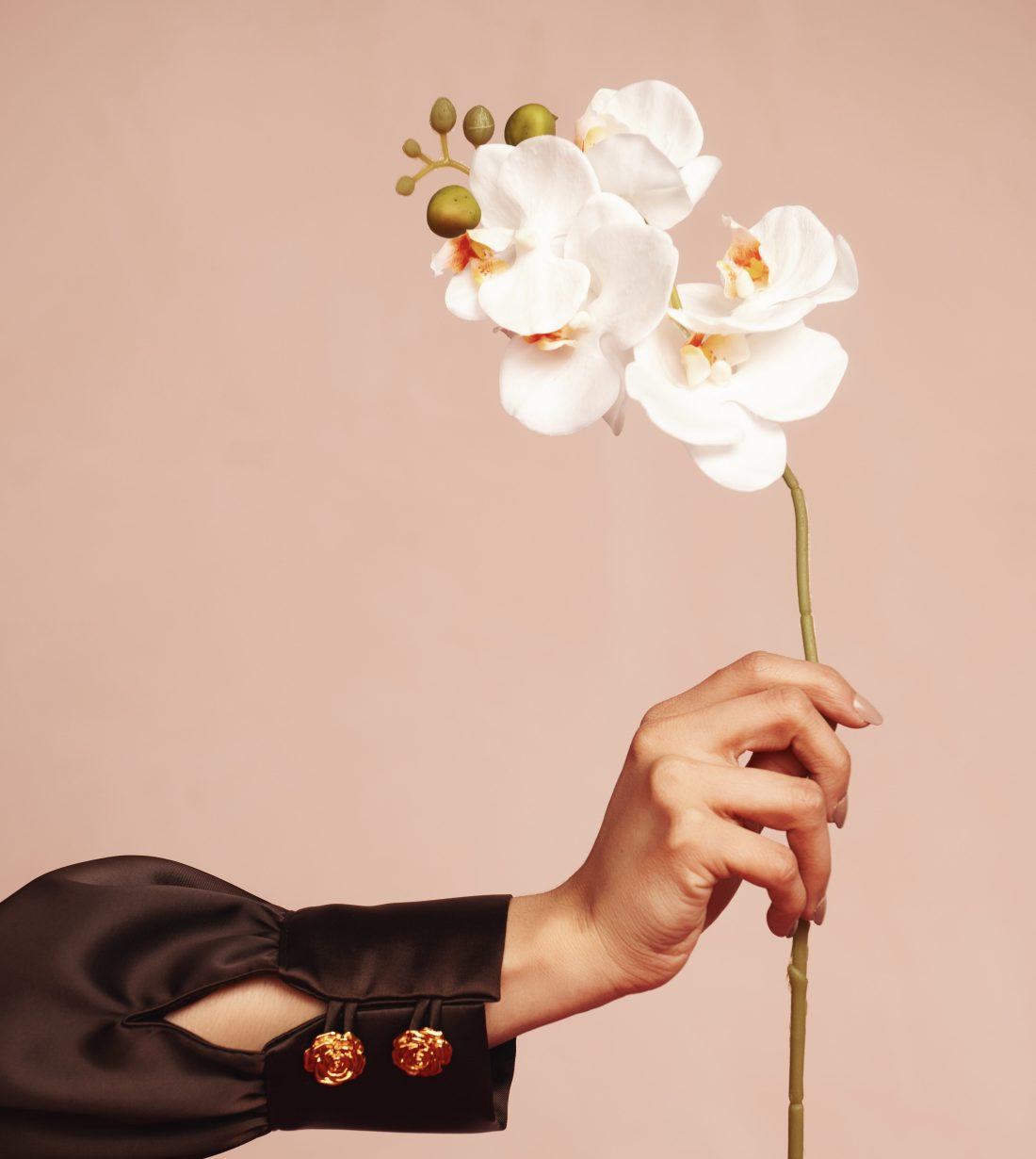 Tiny roses. Major character.